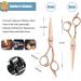 Professional Purplebird 6-Inch Hairdressing Scissors Sharp Japanese Stainless Steel Shears for Men & Women with Bronze Wing Grip - Buy Online on GoSupps.com