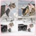 SlowTon Plush Edge Cat Harness and Leash Set - Escape Proof Adjustable Vest for Walking - Reflective Strap for Cat, Kitten, Puppy - Pink Small - Buy Online on GoSupps.com