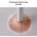 15 Pieces Tapered Blusher Brush Ergonomic Rounded Handle High Density Cheek Makeup Brush Bronzing Powder Brush - Buy Online on GoSupps.com