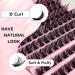 Riya Lash Clusters 120Pcs DIY Eyelash Extenisons Natural Look Wispy Clusters Lashes 8-16MM D Curl Individual Lashes DIY at Home Wispy Fluffy Lash Extensions Reusable Individuals DIY at Home (04) RY-04 - Buy Online on GoSupps.com