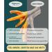 Premium Chicken Feet for Dogs - 2.5 kg Chews & Treats | 100% Natural BARF Dog Food by WuffSnacks - Buy Online on GoSupps.com