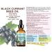 Black Currant Seed Oil - 100% Pure Cold Pressed Carrier Oil for Skin, Hair, Lips & Nails - Rich in Omega 3, 6, 9 Fatty Acids - 2 Fl oz (60ml) - Buy Online on GoSupps.com
