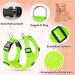 Slowton No Pull Dog Harness - Soft Padded & Breathable XS/S/M for Small Medium Dogs - Lime - Buy Online on GoSupps.com