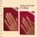Rosalind Ballerina Nail Tips - 504pcs Clear Gel Fake Nails Full Cover 12 Sizes Long Coffin Shape for Women - Soft Acrylic Nail Art Accessories - Buy Online on GoSupps.com