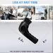 Sansent Electric Shoe Shine Kit - Wireless Leather Care Brush for Dark Black Shoes - Buy Online on GoSupps.com