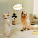 ChunHee Dog Buttons for Communication Dog Buttons Training Words-Dog Talking Speaking Button 30 Seconds Voice Recordable Speech Button Pet Training Dog Answer Buzzers Pack of 8 (Battery Included) - Buy Online on GoSupps.com
