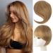 Bangs Hair Clip Synthetic Wig Bangs Ladies Tassel Hair Extension Clip In Wig Heat Resistant Side Bangs Clip In Bangs Bangs Clip in Hair (Color : 27-613 Size : 10inches) 10inches 27-613