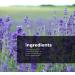 TreeActiv Sleep Spray - Calming Lavender Chamomile Pillow Mist with Witch Hazel - 1000+ Sprays for Room, Bed, and Linens - Buy Online on GoSupps.com