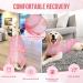 SlowTon Dog Surgery Recovery Suit Dog Cone E-Collar Alternative After Surgery with Zipper Professional Pet Recovery Shirt Dog Preventing Licking Spay Suit for Female Male Dog M Pink - Buy Online on GoSupps.com