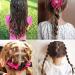 3000 Mini Elastic Hair Ties for Women & Girls | Small Rubber Bands for Daily Hairstyles | Convenient Storage Box - Buy Online on GoSupps.com