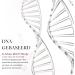 New Organics Oy BEAUTY DNA REPAIR facial serum for sunsensitive skin 30ml with leaf and stem extract of Myrothamnus Flabellifolia Natural vegan formula Made in Finland - Buy Online on GoSupps.com
