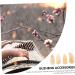 POPETPOP 8 Pcs Guzheng nail pieces Guzheng Tools instrument fake nails false nail tips Finger thumb picks Guzheng Nail Covers guitar nail picks portable child erhu musical instrument horns 3X1.2X0.1CM Light Yellow - Buy Online on GoSupps.com