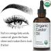 Organys Organic Castor Oil 2oz for Hair, Eyelashes & Eyebrows Growth - Enhances Fuller, Thicker Appearance. Includes Eyeliner & Mascara Brushes - Buy Online on GoSupps.com