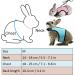 Adjustable Rabbit Dishes & Leash Set for Small Animals 2 Pieces in Blue & Pink | Perfect for Rabbits Hares Hamsters & Cats | Outdoor Use - Buy Online on GoSupps.com