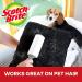 Scotch-Brite Everyday Clean Lint Roller 56 Sheets (Pack of 2) - Effective Pet Hair & Lint Removal | Buy Now for International Shipping - Buy Online on GoSupps.com