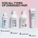 Redken Bonding Shampoo for Damaged Hair Repair - Acidic Bonding Concentrate - 10.1 Fl Oz (Pack of 2) - Buy Online on GoSupps.com