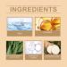 Wild Yam Cream for Hormone Balance Eucalyptus Scented Organic Wild Yam Root Extract 120g Jar Natural Hormone Balancing Cream Soothing and Nourishing for Women - Buy Online on GoSupps.com