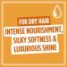 L'Or al Paris Elvive Extraordinary Oil Set for Dry Hair Deep Nourishing Routine Infused With Precious Marula And Camellia Oils Silicone Free Shampoo 400ml Conditioner 300ml Hair Oil 100ml - Buy Online on GoSupps.com