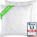 Gentle North pillow - 50x50 cm large - 2 -Set pillow for bed and as a decorative pillow - with zipper for filling - sofa cushion - ornamental pillow for couch and sofa - kotex - washable up to 60 - White 2 St. |50x50cm