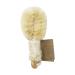 BAUDELAIRE Baudelaire sisal 6 inch nail brush  1 ea