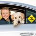 Bewudy 2 PCS Baby on Board Car Warning Sign - Elephant Design | Reusable Baby in Car Sticker with Suction Cups - Buy Online on GoSupps.com