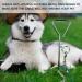 CTOPOGO 10FT/16FT/33FT Dog Tie Out Cables - Heavy-Duty Pet Leads for Dogs Up to 125 lbs - Reliable Tie-Out Linen for Small & Medium Dogs - 5m Blue - Buy Online on GoSupps.com