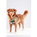 CHABA Medium Dog Harness - Adjustable Comfortable & Control for Training - Anti-Choke Design for Running & Walking - Buy Online on GoSupps.com