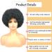 Fannace Afro Curly Wig for Women | Soft Natural Looking High Temperature Fiber Synthetic Afro Puff Wig - Perfect for Daily & Party Use | 1B Black - Buy Online on GoSupps.com