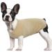 Hjumarayan dog sweater Small dogs - thin dog sweater washable dog sweater elastic sweater dog striped dog shirt dog sweaters for chihuahua yorkshire terrier (yellow XXS) XXS yellow