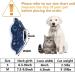 Pet Recovery Collar - Adjustable Soft Cone for Cats & Puppies, Blue - Small Size - Buy Online on GoSupps.com