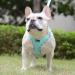 Doramio Dog Harness for Small Dogs - Reflective Breathable Step-In Design with Leash | Anti-Train Safety Dishes for Dogs & Cats (Light Green L) - Buy Online on GoSupps.com