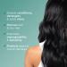 ORLANDO PITA PLAY Moisture & Shine Hair Mask - Deep Conditioning for Ultimate Softness | 12 Oz - Buy Online on GoSupps.com