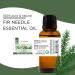 Fir Needle Essential Oil - 16 fl oz - Aluminum Bottle w/Locking Cap - 100% Pure Essential Oil - GreenHealth - Buy Online on GoSupps.com