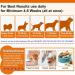 RSGRT Hip and Joint Supplements Chews for Dogs 150PCS Hip & Joint Care Tablets with Glucosamine Chondroitin Green-Lipped Mussels and Vitamins for Dog Joint Care (Duck Flavor) dog joint chews 150PCS - Buy Online on GoSupps.com