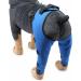 Pet Dog Hind Leg Brace Support Belt Pet Dog Double Hind Leg Brace Support Belt for Heals Prevents Injuries Sprains Protects Wounds. C Small - Buy Online on GoSupps.com