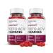 Justified Laboratories (2 Pack) ProFast Keto ACV Gummies 1000MG Pro Fast Vegan Non GMO with Pomegranate Juice Beet Root B12 120 Gummys 60 Count (Pack of 1)