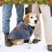 HYLYUN Small Dog Sweater - Classic Knitwear for Winter - Soft Warm Puppy Shirt - S (3-5 lbs) - Buy Online on GoSupps.com