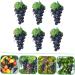 Artibetter 12 Pcs Artificial Bunch of Grapes Faux Greenery Garland Greenery Wreath Mini Decor Shop Window Decoration Lifelike Wet Grape Clusters Simulation Fake Grape Fake Grape Models Starch Blackx2pcs 10X14CMx2pcs - Buy Online on GoSupps.com