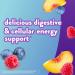 Vitafusion Fiber Well Fit Gummies - 90 Count Fiber Supplement | Healthy Digestive Support - Buy Online on GoSupps.com
