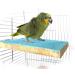 Colorful Wood Bird Perch Stand Toy for Parrot Macaw African Grey Budgies Cage - A-Shape - Buy Online on GoSupps.com