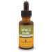 Herb Pharm Devil's Claw Liquid Extract for Musculoskeletal System Support - 1 Ounce (DDCLAW01) 1 Fl Oz (Pack of 1)