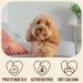 Petlove Hard Cheese for Dogs | 100% Natural Chewing Bones | Cauca Cheese Dental Treats | Ideal for On-the-Go | 3 Pack XS (10-30g) - Buy Online on GoSupps.com