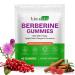 HBIKCLYC Berberine Gummies Supplement Sugar-Free Berberine Ceylon Cinnamon Supplement for Adults Supports Overall Health and Immune System Promotion of Mens & Womens Health - 60 Gummies (1)