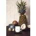 Kissable Unscented Massage Oil Candle - Sensual & Romantic Melting Candles for Relaxing Massages | International Shipping Available - Buy Online on GoSupps.com