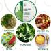 BenePura Plantain Ointment - Natural Anti Itch Cream for Bug Bite Relief - 1.35 fl. Oz - Buy Online on GoSupps.com
