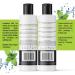 Pure Mint Shampoo and Conditioner Set - For Oily Hair - Clarifying Shampoo For BuildUp - Made In Canada - Featuring Peppermint and Rosemary Oil Aloe Leaf Juice and Pea Peptide - Free From Paraben Sulfate Dyes Wax Artificial Fragrance 100% Vegan and Cruelt - Buy Online on GoSupps.com