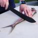 Professional Cuda Butcher Knife 24.5 cm (9.65) - Precision Cutting Tool for Chefs | Free International Shipping - Buy Online on GoSupps.com