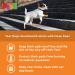 Buy PAWZ PAWC-XSDog Boots - Orange XS | Best Dog Booties for All Weather | International Shipping Available - Buy Online on GoSupps.com