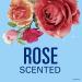Secret Paris Romantic Rose Antiperspirant Deodorant 2.6 Oz (Pack of 2) - Buy Online on GoSupps.com