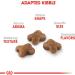Royal Canin Kitten Dry Cat Food 15 lb - Feline Health Nutrition, Pack of 1 - Buy Online on GoSupps.com